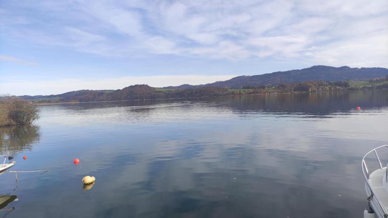 Glamping Wallersee - Unter Dem Kastanienbaum Helming المظهر الخارجي الصورة